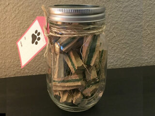 Image for DIY Mason Treat Jar for Pets
