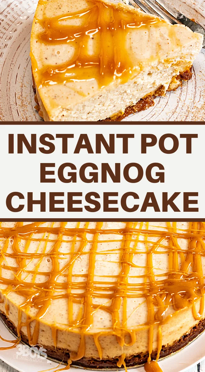 eggnog cheesecake pressure cooker dessert recipe for Christmas