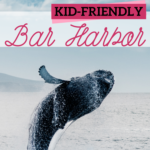 kid friendly activities in bar harbor maine