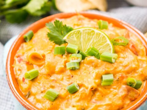 Image for Slow Cooker Chicken Queso Dip