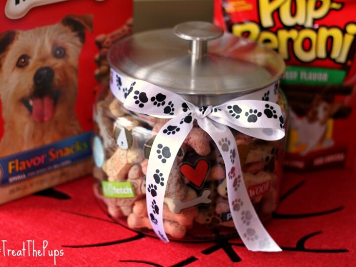 Image for DIY Dog Treat Jar #TreatThePups - The Neighborhood Moms