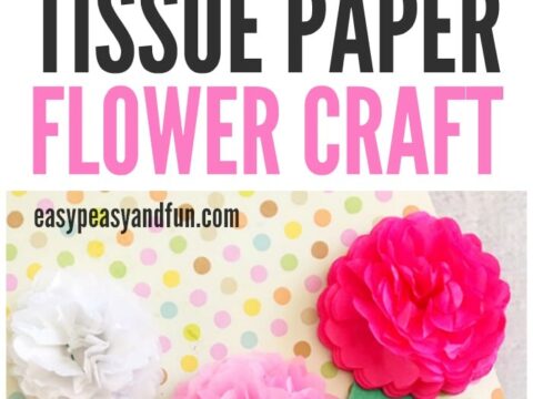 Image for Tissue Paper Flower Craft