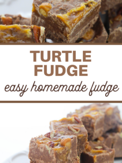 turtle fudge recipe
