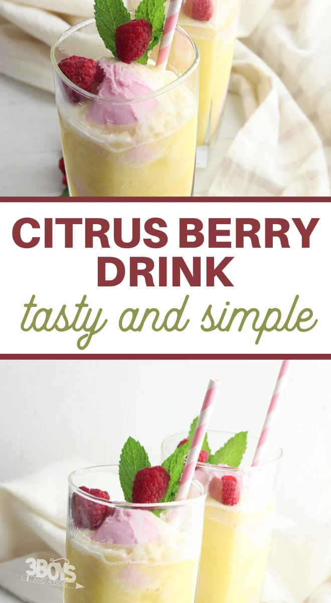 citrus berry cooler recipe non alcoholic