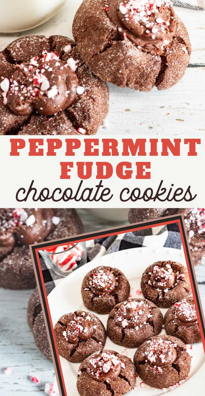 chocolate peppermint fudge cookies