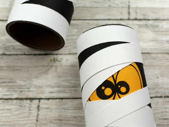 Image for Easy Toilet Roll Mummy Craft
