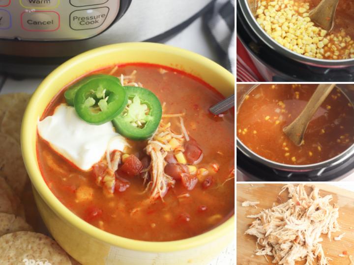 quick chicken tortilla soup recipe