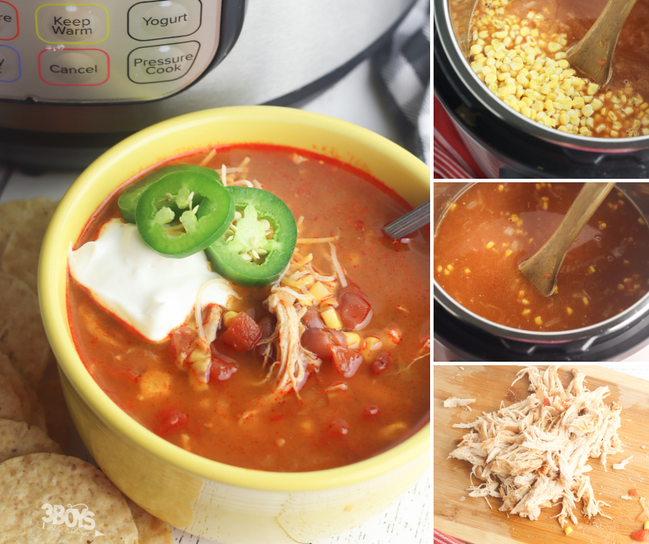 quick chicken tortilla soup recipe