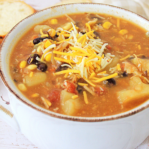 your kids will love eating this tex mex chicken chowder on a cold winter evening