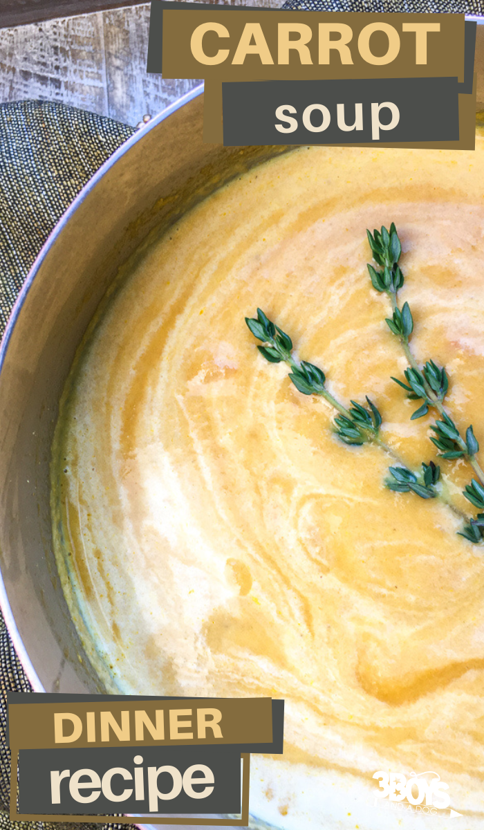 the ginger gives this creamy carrot soup and delicious kick