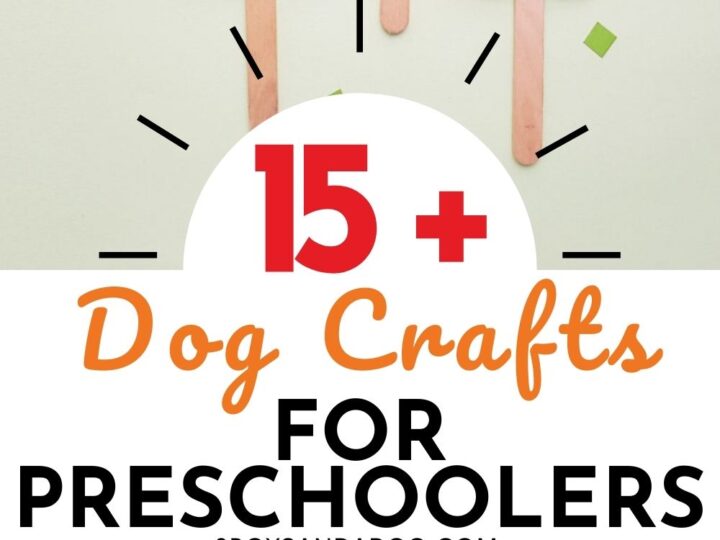An engaging poster showcases three adorable dog crafts created from craft sticks, each featuring a unique design. The text highlights 15+ Dog Crafts for Preschoolers, with the website 3boysandadog.com featured at the bottom for more creative ideas.