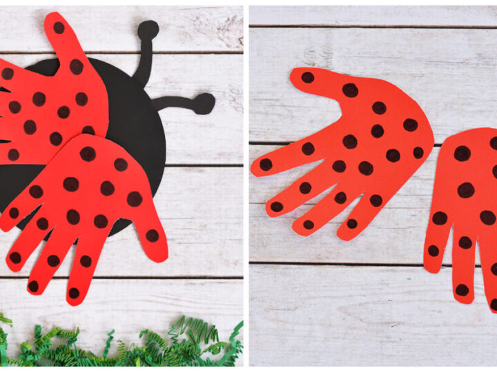 Image for Recycled CD Ladybug Craft For Kids