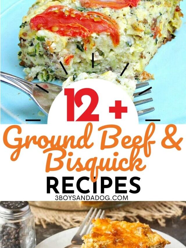 Hearty Ground Beef and Bisquick Recipes Story
