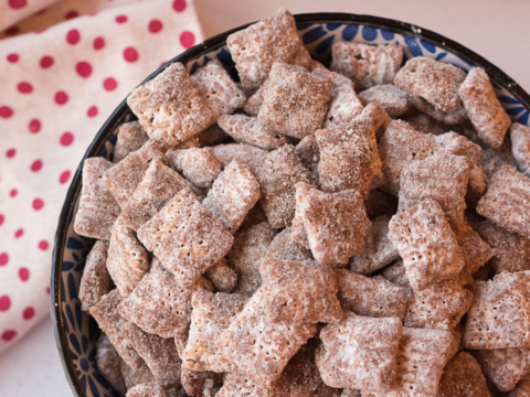 mexican churros puppy chow