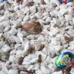 sweet muddy buddies recipe for easter