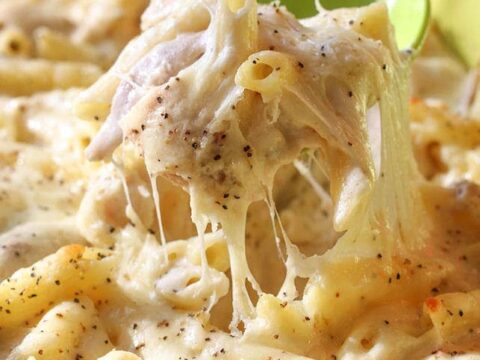 Image for Cheesy Chicken Alfredo Bake (+VIDEO) | Lil' Luna