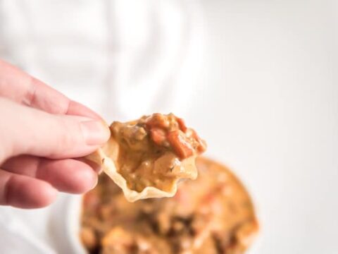 Image for THE BEST SLOW COOKER QUESO DIP RECIPE