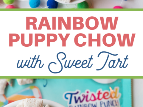 saint paddys day rainbow snack recipe