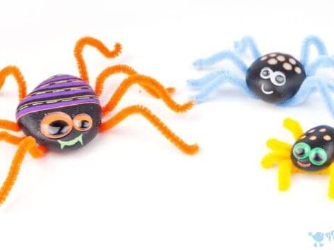 Image for PLAYFUL ROCK SPIDERS