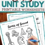parts of the ear and more hearing worksheets