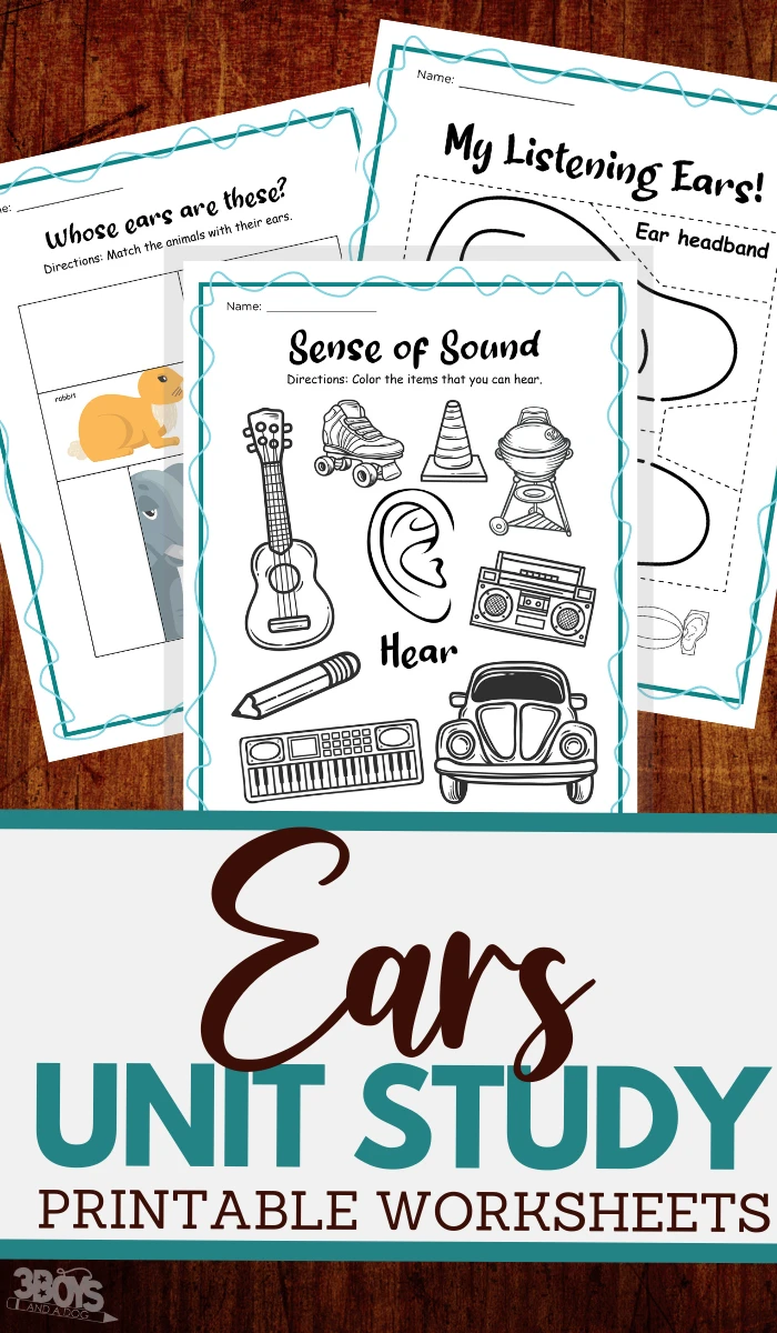 printable unit study worksheets for the human ear