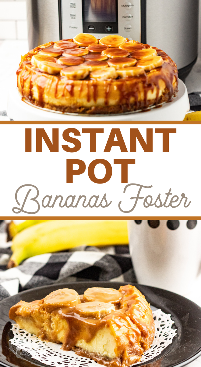 instant pot cheesecake recipes