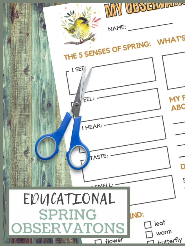 Spring Observations Worksheets