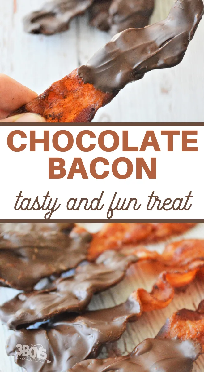 easy chocolate coated bacon recipe