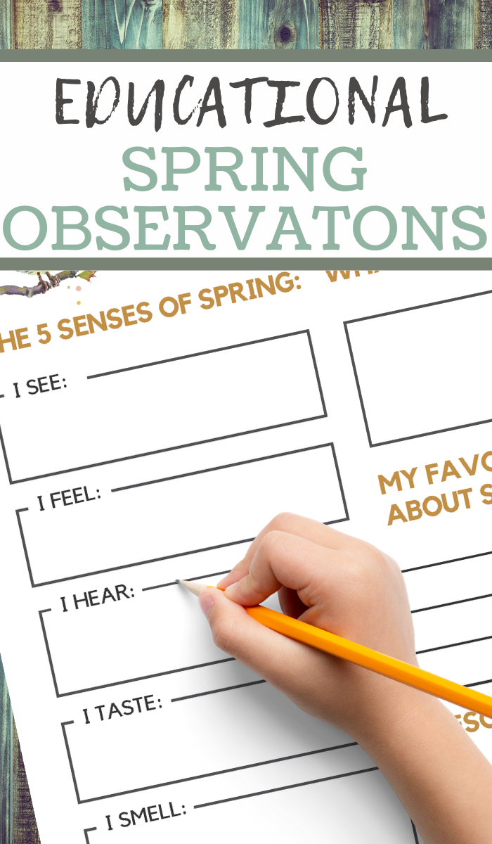five senses recording worksheets in a spring theme