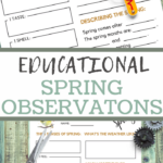 spring observations printable sheets