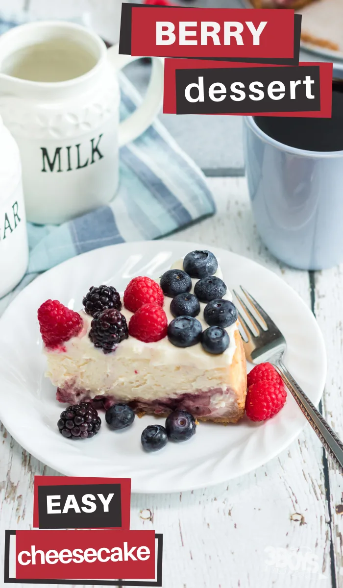 mixed berry cheesecake recipe in the pressure cooker