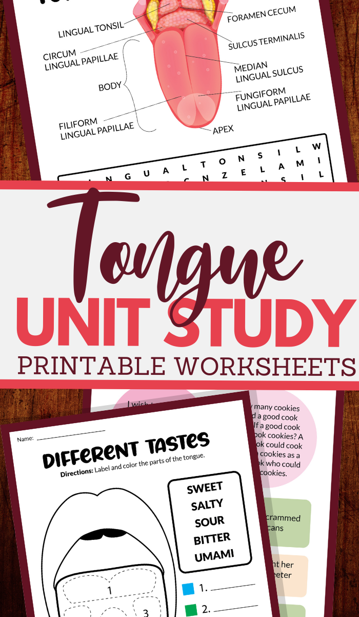 parts of the tongue and more worksheets