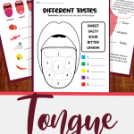printable unit study worksheets for the human tongue