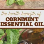 tons of great uses for cornmint essential oil