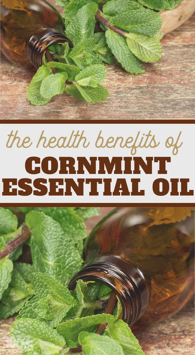 tons of great uses for cornmint essential oil