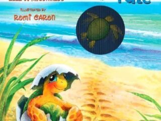 Image for Baby Turtle's Tale