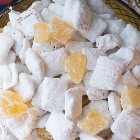 tropical puppy chow