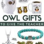 surprise your child's teacher with one or more of these awesome owl themed gifts