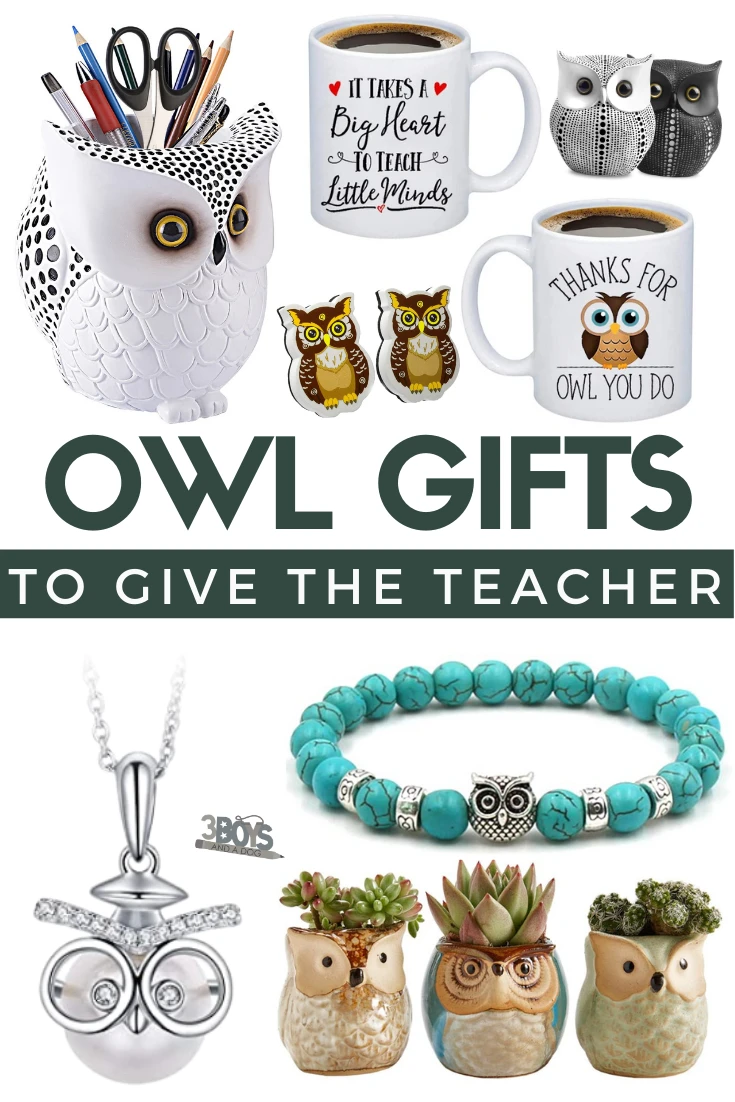 surprise your child's teacher with one or more of these awesome owl themed gifts