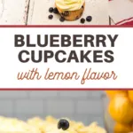lemon and blueberry cupcake recipe