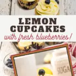 this sweet lemon icing tops an almost muffine like blueberry and lemon cupcake
