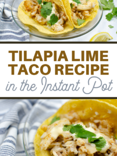 tilapia fish taco recipe