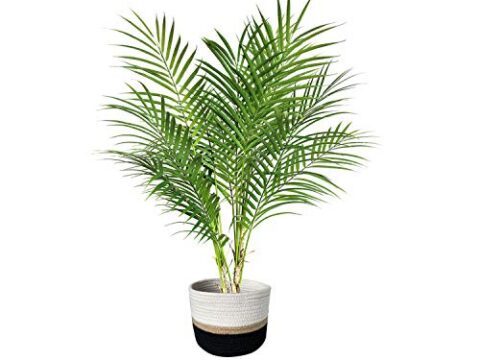 Image for BESAMENATURE 30.2" Artificial Paradise Palm Tree Plant, Fake Tropical Palm Tree for Home Office Decoration, with Cotton Rope Basket