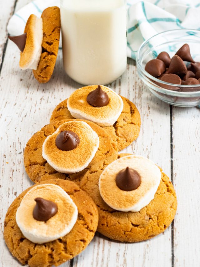 Delicious Peanut Butter Smores Cookies Story