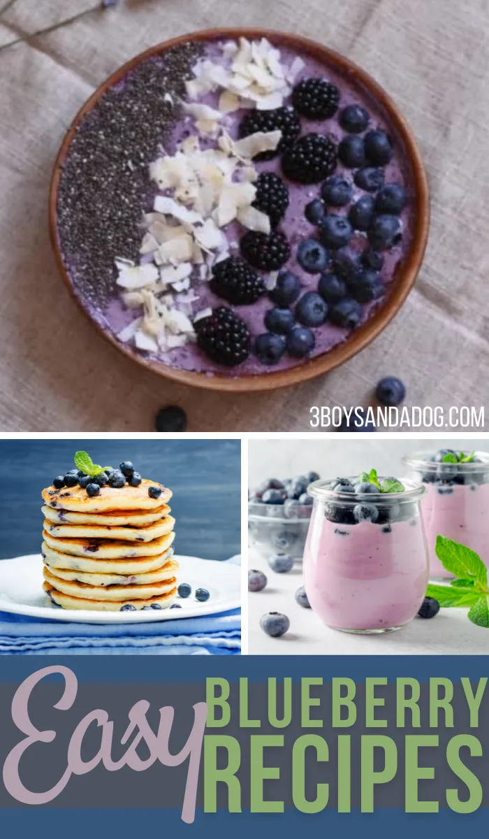 huge list of recipes that use blueberries