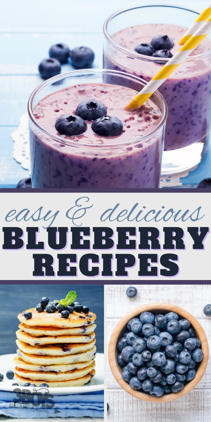 canned fresh or frozen blueberry recipes