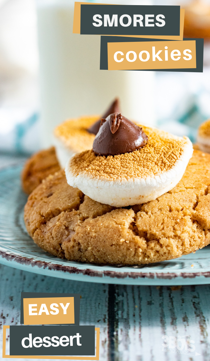 easy peanut butter smores