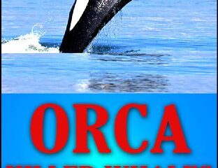 Image for Orca Killer Whales: The Killer Whale Facts Book For Kids (Predators of the Deep Blue Sea Series 2)