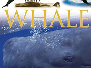 Image for DK Eyewitness Books: Whale
