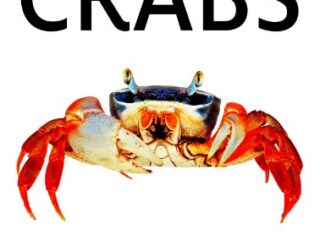 Image for Crabs: Discover Series Picture Book for Children (Kindle Kids Library)